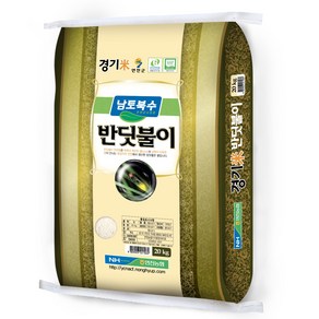 연천농협 2024년산 햅쌀 경기미 반딧불이쌀 대안미, 특, 20kg, 1개