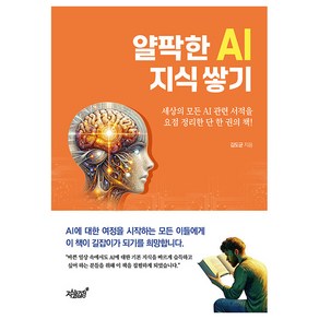 얄팍한 AI 지식 쌓기:세상의 모든 AI관련 서적을 요점 정리한 단 한 권의 책, 지식과감성, 김도균