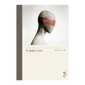 두 얼굴의 사나이:강태식 소설, 은행나무, 강태식