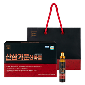 천년정성 산삼기운한아름 농축액 20mL x 14p 세트 + 쇼핑백, 1세트, 280ml