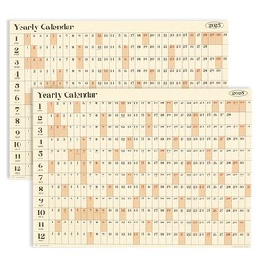 페이퍼리안 2025년 리마인드 이얼리 포스터 캘린더 2p 세트, 투명, 1개