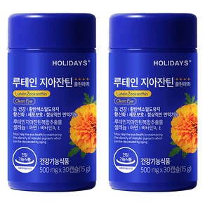 홀리데이즈 루테인 지아잔틴 클린아이 15g, 30정, 2개