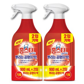 홈스타 뿌리는 곰팡이 싹 세정제