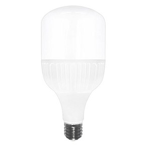 멜리빙 LED DO 공장 보안등 T램프 롱넥 50W, 전구색, 1개