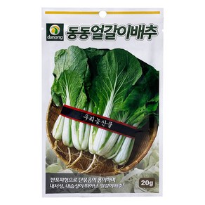 다농 동동얼갈이배추 씨앗 20g, 1개