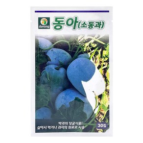 다농 동아 소동과 씨앗 30p, 1개