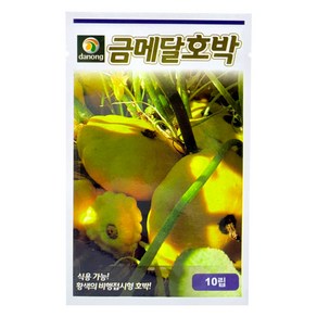 다농 금메달호박 씨앗 10p, 1개