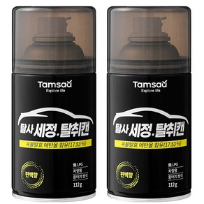 탐사 차량용 원터치 세정 탈취제 편백향, 112g, 2개