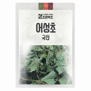 조은약초 어성초, 100g, 1개