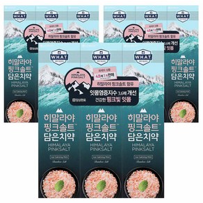 히말라야핑크솔트 담은 치약 튜브형 아이스, 100g, 9개