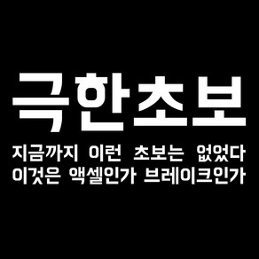 루키마켓 극한초보 차량용 스티커