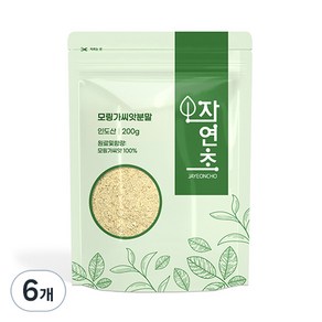 자연초 모링가 씨앗분말, 6개, 200g