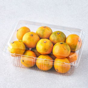 당도선별 11bix 감귤, 1.2kg(꼬마과), 1개