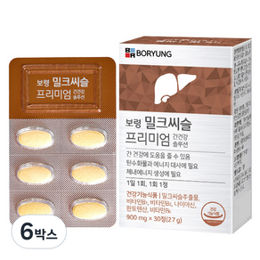 보령 밀크씨슬 프리미엄 간건강 솔루션, 27g, 6박스