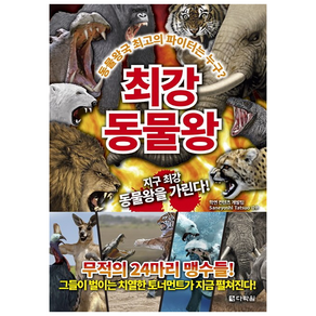 최강 동물왕:동물왕국 최고의 파이터는 누구?, 다락원, 상세 설명 참조