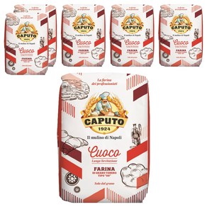 카푸토1924 쿠오코 Tipo 00 밀가루, 1kg, 6개