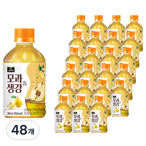 미닛메이드 모과생강, 48개, 280ml