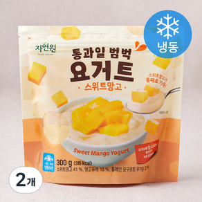 자연원 통과일 범벅 요거트 스위트망고 (냉동), 300g, 2개