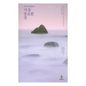 아디야샨티의 가장 중요한 것:삶의 가장 깊은 중심에 두어야 할 단 하나의 진실