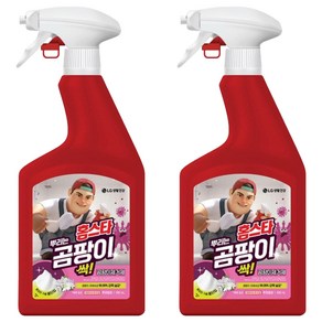 홈스타 맥스프레쉬 뿌리는 곰팡이 싹 세정제, 900ml, 2개