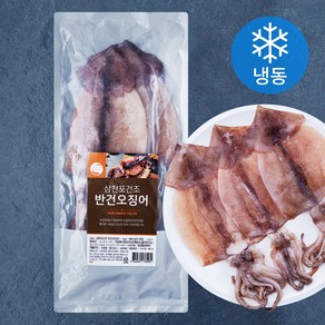 조혜정의멸치연구소 삼천포건조 반건오징어 3~5미 (냉동), 480g, 1개