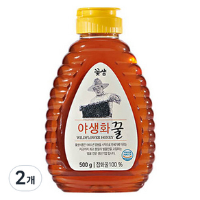 꽃샘 야생화꿀, 500g, 2개