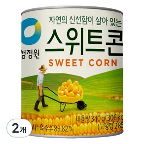 청정원 스위트콘 통조림, 340g, 2개