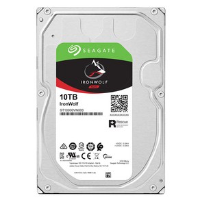 씨게이트 IonWolf HDD, 10TB, ST10000VN000