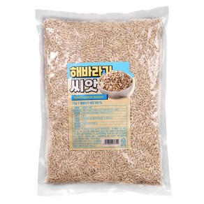 해바라기씨, 1kg, 1개