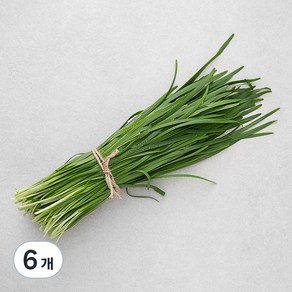 국내산 GAP 부추, 250g, 6개