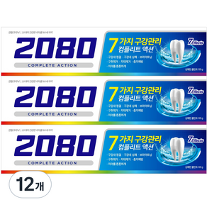 2080 컴플리트액션 쿨민트 치약, 120g, 12개