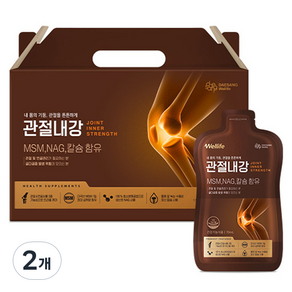 대상웰라이프 관절내강 28p, 1.96L, 2개