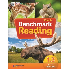 Benchmark Reading 1.3