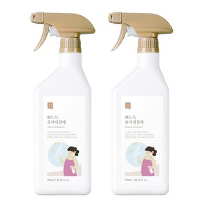 쉼표365 뽀드득 대용량 창문 유리세정제, 750ml, 2개