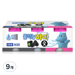 물먹는하마 숯 제습제 본품, 280g, 9개