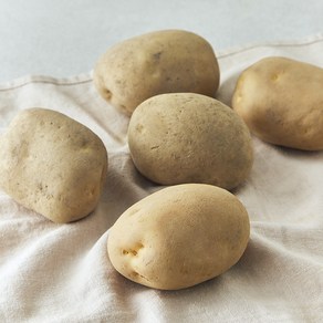 국내산 감자(햇), 1개, 1kg(대)