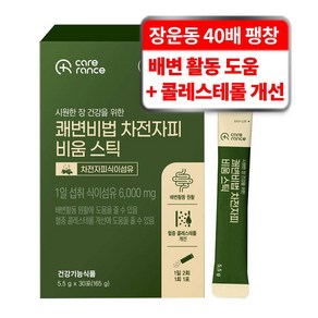 케어란스 쾌변비법 차전자피 비움 스틱, 1개, 30회분