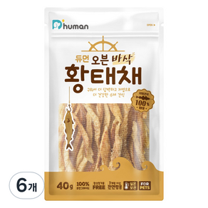 듀먼 강아지 오븐 바삭 저염 수제간식, 황태, 40g, 6개