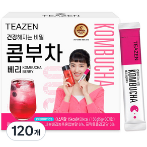 티젠 콤부차 베리, 5g, 30개입, 4개