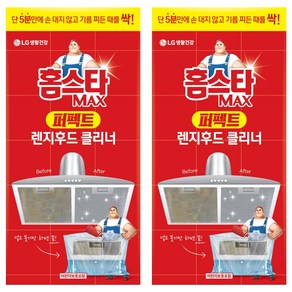 홈스타 맥스 퍼펙트 렌지후드 클리너, 2개, 450ml