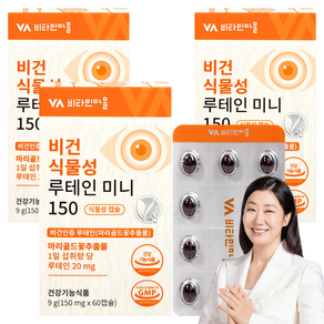 비타민마을 비건 식물성 루테인 미니, 60정, 3개