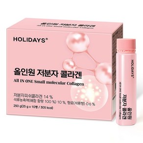 홀리데이즈 올인원 저분자 콜라겐 10입, 250g, 1개