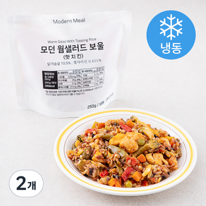 모던밀 모던 웜샐러드 보울 핫치킨 (냉동), 250g, 2개