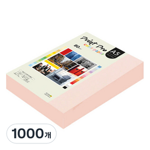 종이문화 프린트 프로 칼라 복사용지 No 22 라이트핑크 80g, A5, 1000개