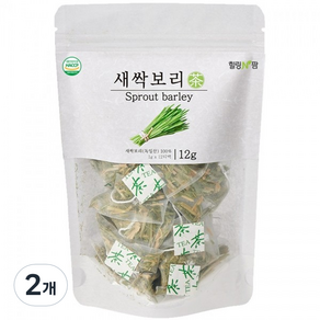 힐링앤팜 새싹보리차 12p, 1g, 12개입, 2개