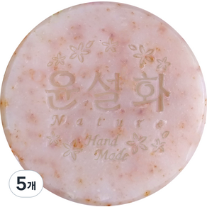 윤설화natue 비누 사과, 130g, 5개