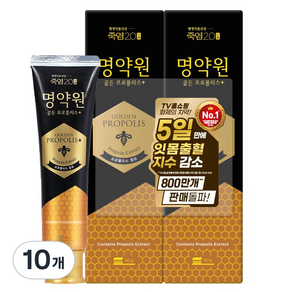 죽염 명약원 골든프로폴리스 잇몸 치약 플러스, 120g, 10개