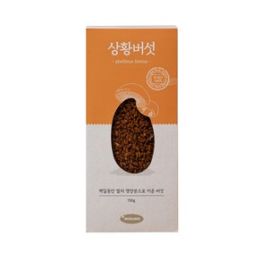 쌀에키운 상황버섯, 1개, 700g