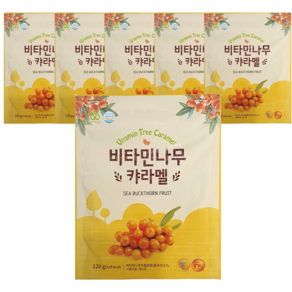 비타민나무 캬라멜, 120g, 6개