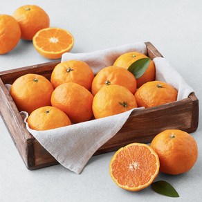 블랙홀 고당도 13.5bix 카라향 중과, 1.8kg(12~17입), 1박스